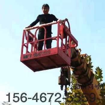 隨車(chē)吊吊車(chē)吊籃4噸5噸8噸徐工10噸-25噸吊車(chē)吊籃